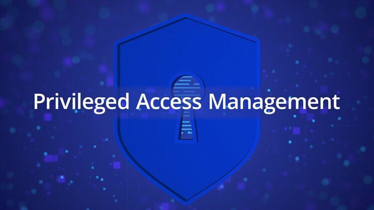 Privileged Access Management, PAM Решения для управления привилегированным доступом (мировой рынок)